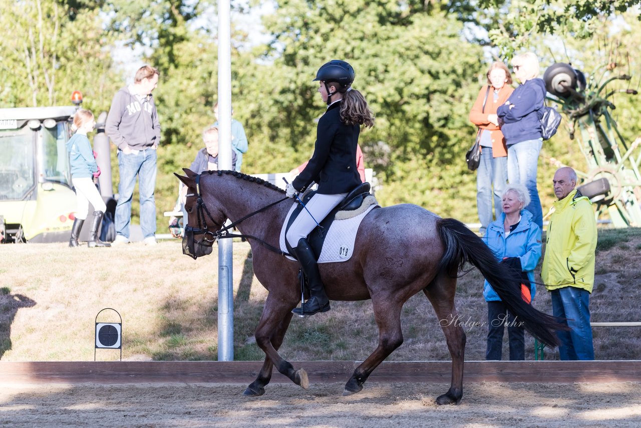 Bild 60 - Pony Akademie Turnier